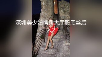 深圳美少妇情趣大屁股黑丝后入2