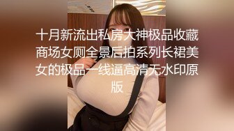 十月新流出私房大神极品收藏商场女厕全景后拍系列长裙美女的极品一线逼高清无水印原版