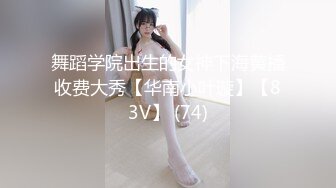 舞蹈学院出生的女神下海黄播收费大秀【华南小叶璇】【83V】 (74)