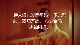 诗人海儿爱情密码： 玉儿怒张， 双燕齐舔。 琴瑟合鸣， 执袖同挽。