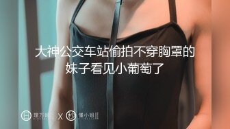 巨乳娘Yシャツ引きちぎり痴漢 無防備な巨乳娘のYシャツを引きちぎって