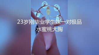 【AI换脸视频】刘亦菲 自己玩自己