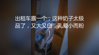 出租车露一个，这种奶子太极品了，又大又白，乳晕小而粉！