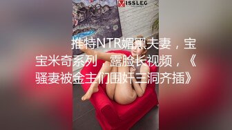 新来的女仆（2）