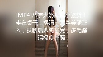 骚春贤2