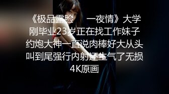 《极品露脸☀️一夜情》大学刚毕业23岁正在找工作妹子约炮大神一直说肉棒好大从头叫到尾强行内射还生气了无损4K原画