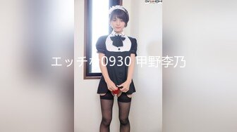 エッチな0930 甲野李乃