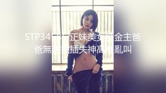 极品资源-欧美精品女优和系列射精片段23小时大合集【86V】 (4)