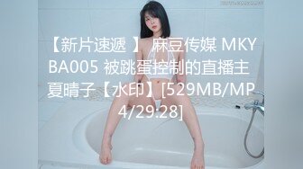 ZL20230304-BJ草草(초히)-1