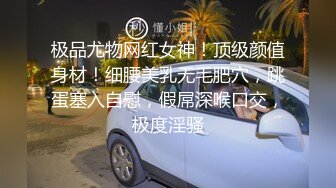 绳艺大师给熟女来个全套SM龟甲缚，奶子上还要贴个血滴子，狂虐这对极品大奶子【200V】 (173)