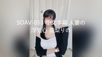 SOAV-053 中文字幕 人妻の浮気心 高梨りの