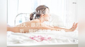 淑女轻少妇