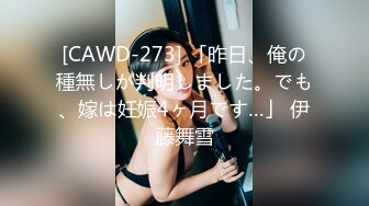 [CAWD-273] 「昨日、俺の種無しが判明しました。でも、嫁は妊娠4ヶ月です…」 伊藤舞雪