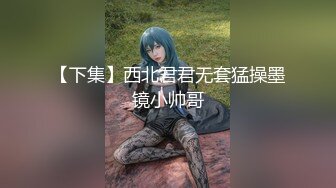 【下集】西北君君无套猛操墨镜小帅哥