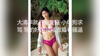 大奶女友主导下的美妙性爱