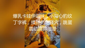 漂亮小姐姐~【瘦不下来的欢小姐】喝了啤酒后床上缠绵 主动吃鸡 滴蜡 骑乘啪啪  (2)