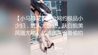 现代情慾篇之换妻檔案(国粤语中英字)