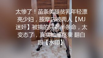 我的大胸前女友2