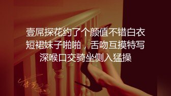 【无情的屌丶】约操外围骚御姐，吊带黑丝袜超性感