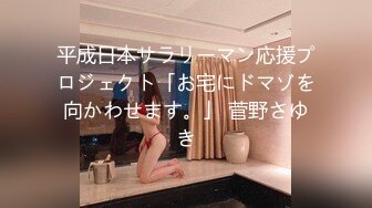 平成日本サラリーマン応援プロジェクト「お宅にドマゾを向かわせます。」 菅野さゆき