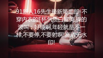 91新人16先生最新第二部-不穿内衣的E杯气质白富美,操的浪叫：好硬啊,年轻就是不一样,不要停,不要射啊!高清无水印!