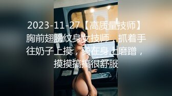 2023-11-27【高质量技师】胸前翅膀纹身女技师，抓着手往奶子上摸，骑在身上磨蹭，摸摸搞搞很舒服