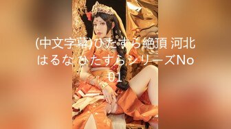 国产经典-HBF小組黑蝙蝠作品之美女小君