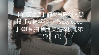 【绝版资源】超高气质华人腿模「女神丝丝」「sexy.coco」OF私拍 黑丝美腿蜂腰【第二弹】 (1)