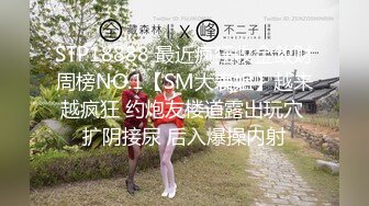 乌鸦传媒 WY0005 妩媚少妇诱骗保安小哥