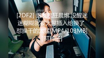 【新片速遞】&nbsp;&nbsp; ✨国产网黄福利姬「SLRabbit」OF性爱私拍 黑丝女仆被爸爸各种姿势任意玩弄，第一视角调教小母狗代入感满满[1.37G/MP4/31:58]