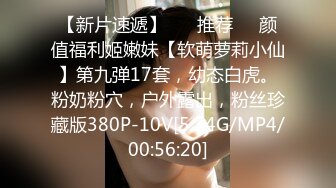 无水印[MP4/134M]11/27 熟女阿姨车震撅着屁屁趴在车座上太刺激小伙操了几下就射VIP1196