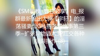 -偶蜜国际 OM-003《人在囧途之台囧》二傻出征性爱之城新春贺年喜剧上映