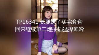 麻豆传媒 MDSR-0004-2《金麟岂是池中物》峰回路转调教女同-李蓉蓉[MP4/947MB]