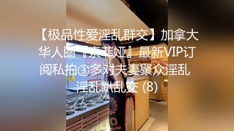 【极品性爱淫乱群交】加拿大华人圈『索菲娅』最新VIP订阅私拍③多对夫妻聚众淫乱 淫乱趴乱交 (8)