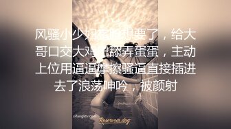 [2DF2] 偷情极品爆乳少妇 主动给我舔鸡巴 硬了就干 姿势花样不少完美露脸 -[MP4/185MB][BT种子]