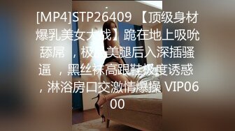 [MP4]STP30585 乖巧甜美清纯妹妹！和小男友操逼！黑丝美腿大屌足交，多毛骚逼洞口磨蹭插入，往上视角后入爆插 VIP0600