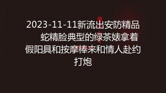 2023-11-11新流出安防精品❤️蛇精脸典型的绿茶婊拿着假阳具和按摩棒来和情人赴约打炮